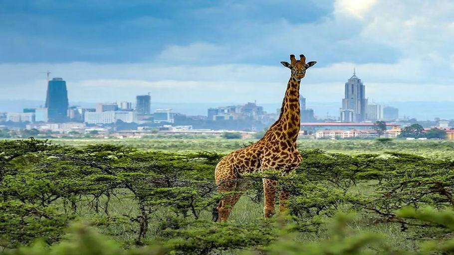 Nairobi