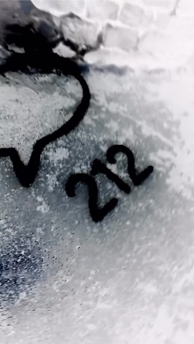 Video 2 from 212 Montréal