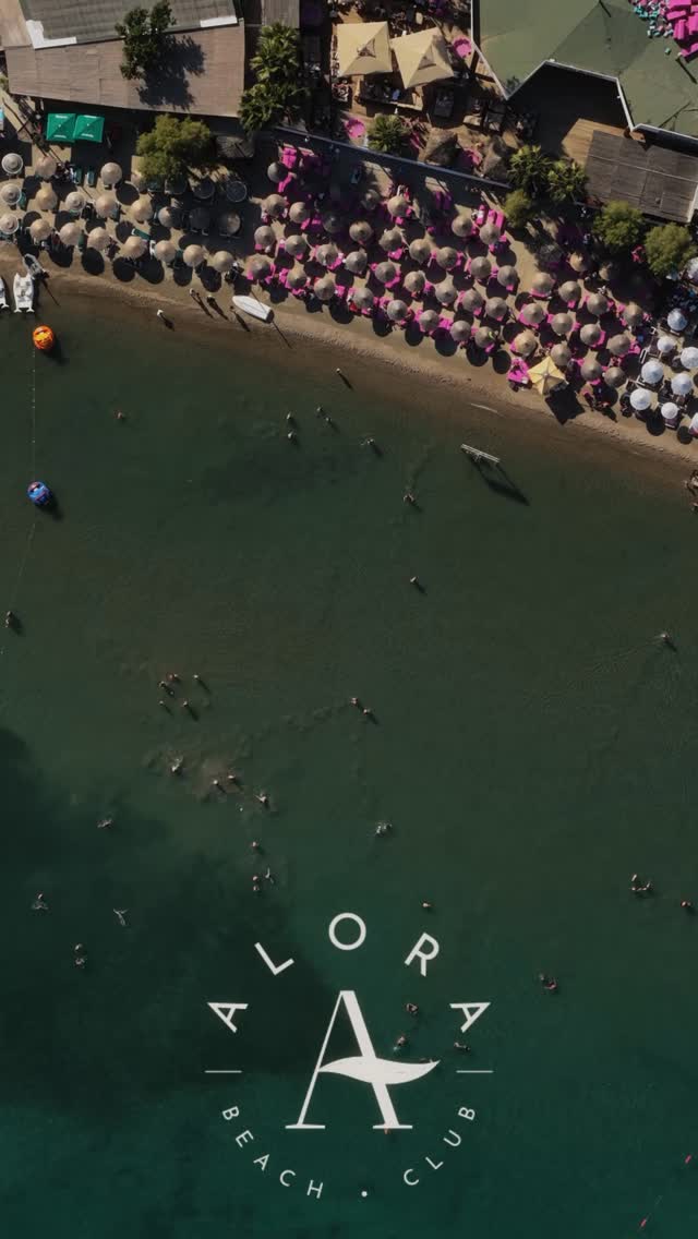 Video 6 from Alora By Moon