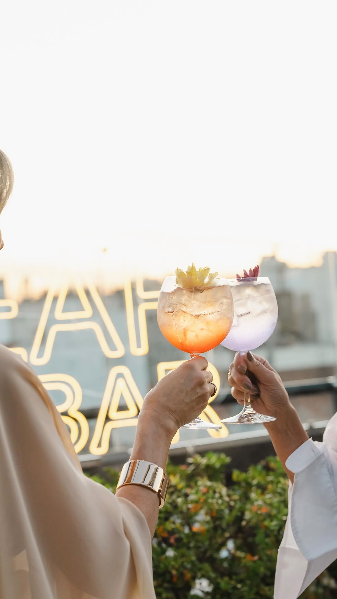 Video 1 from Alvear Roof Bar