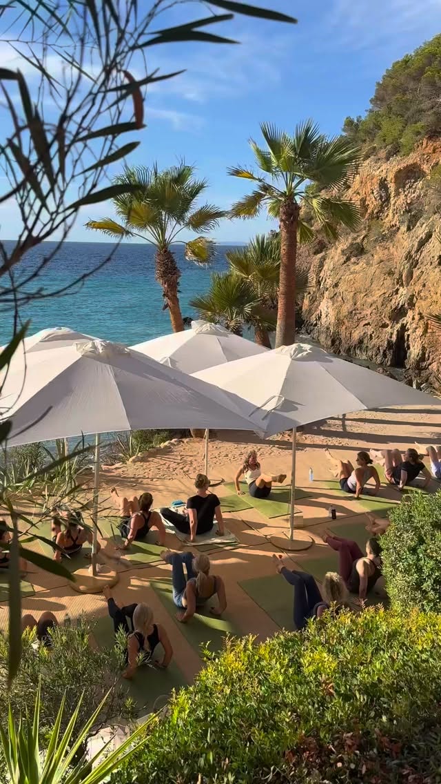 Video 5 from Amante Ibiza