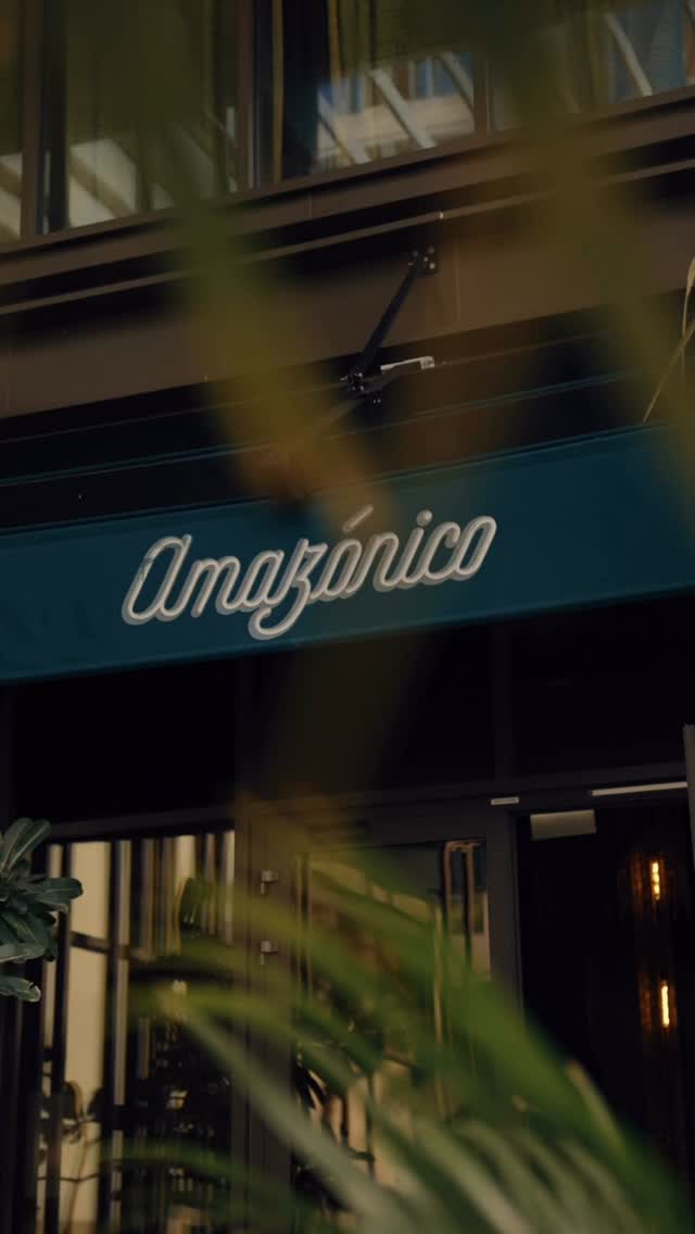 Video 2 from Amazónico