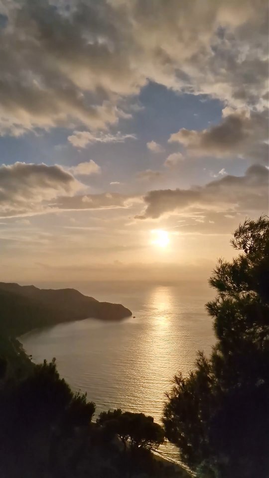 Video 5 from Amente