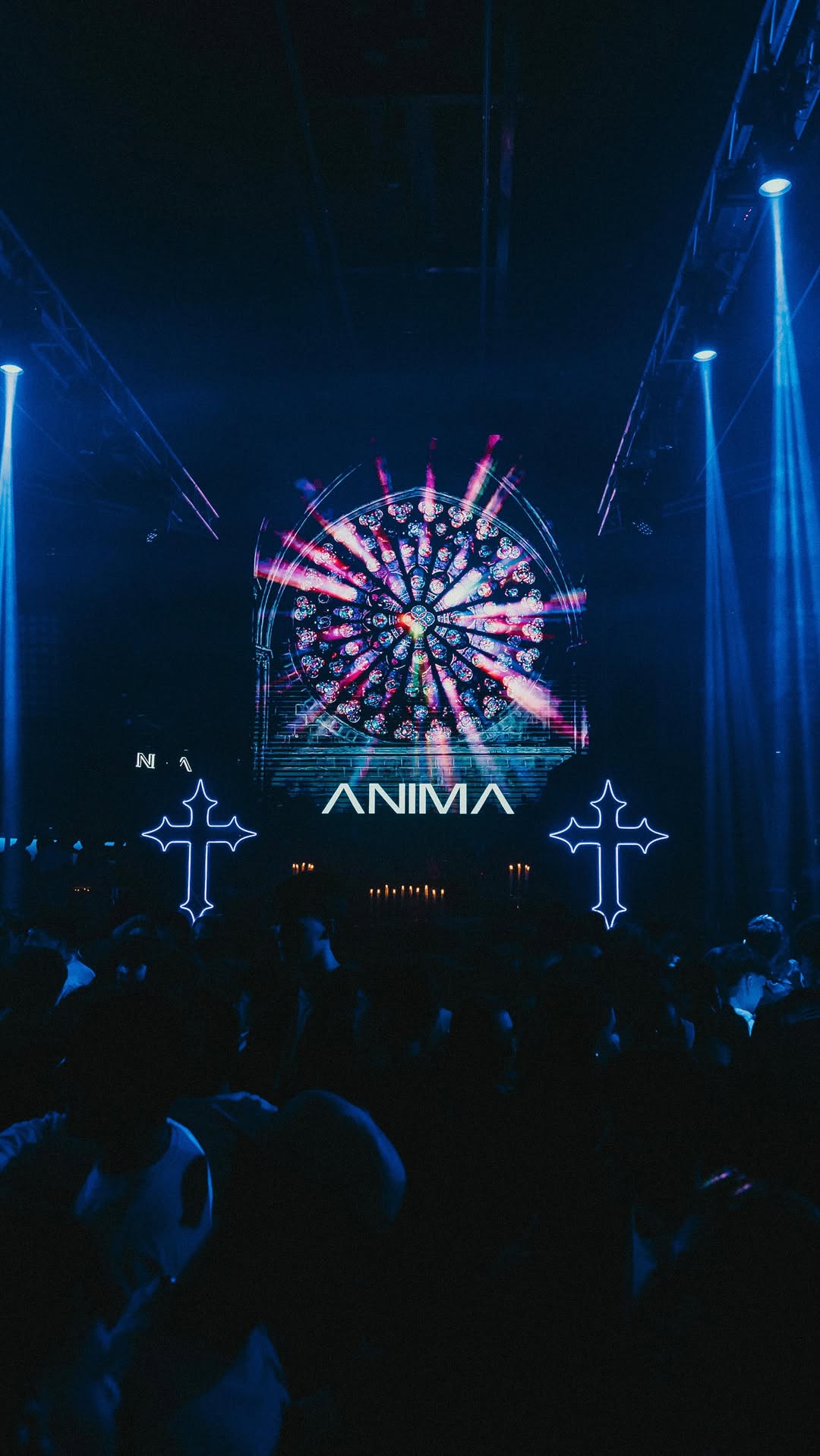 Video 5 from Anima Club