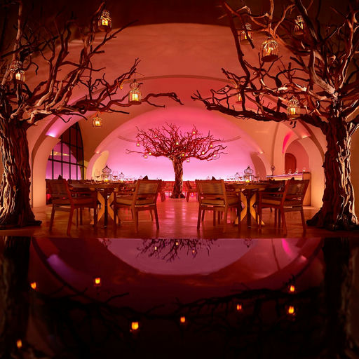 Arbol, a restaurant in Cabo San Lucas, Mexico