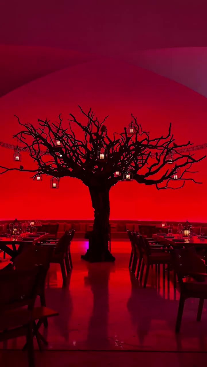 Video 6 from Arbol