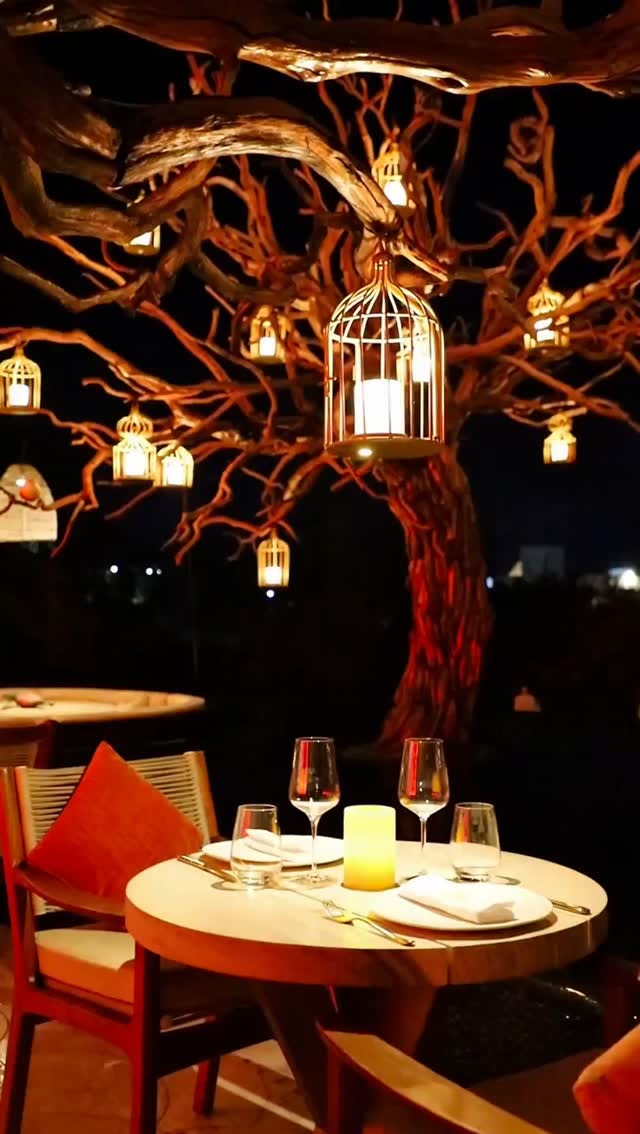Video 4 from Arbol