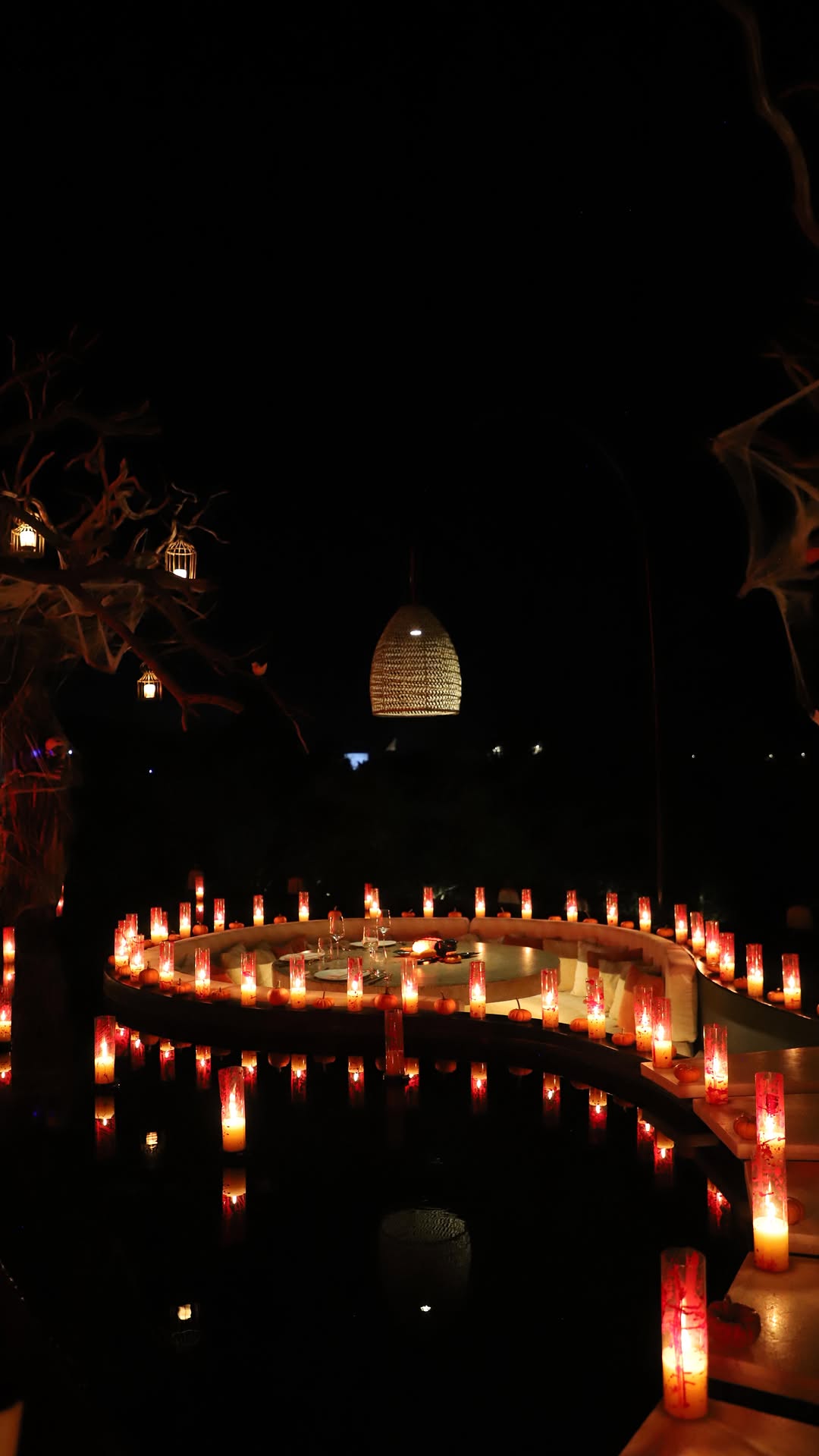 Video 5 from Arbol