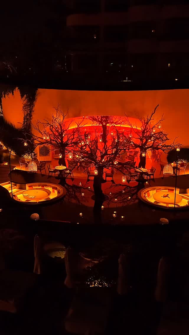 Video 3 from Arbol