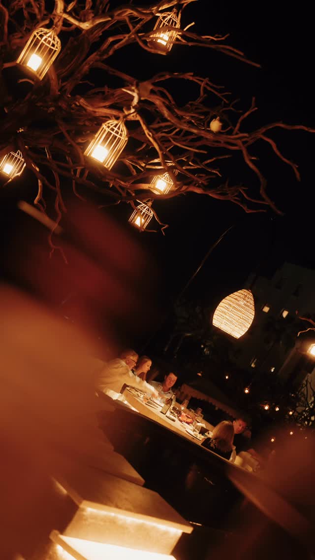 Video 1 from Arbol