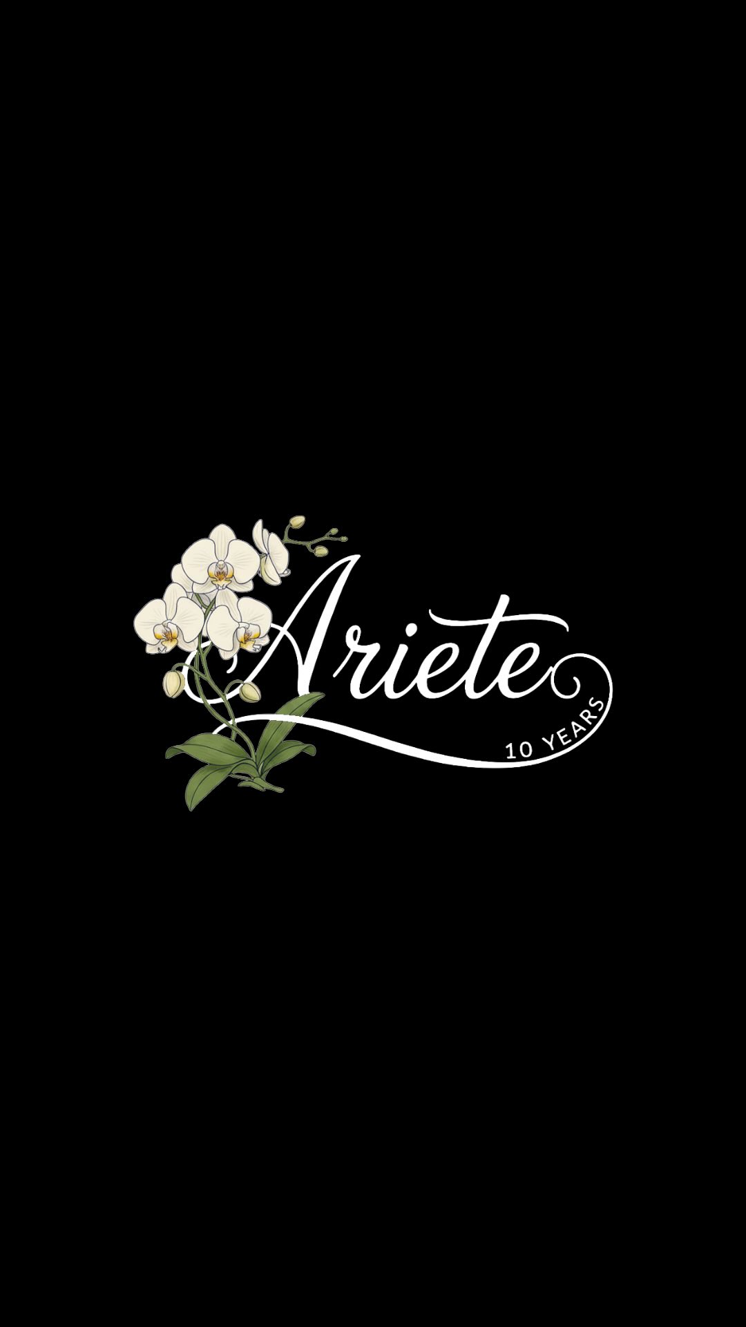 Video 4 from Ariete