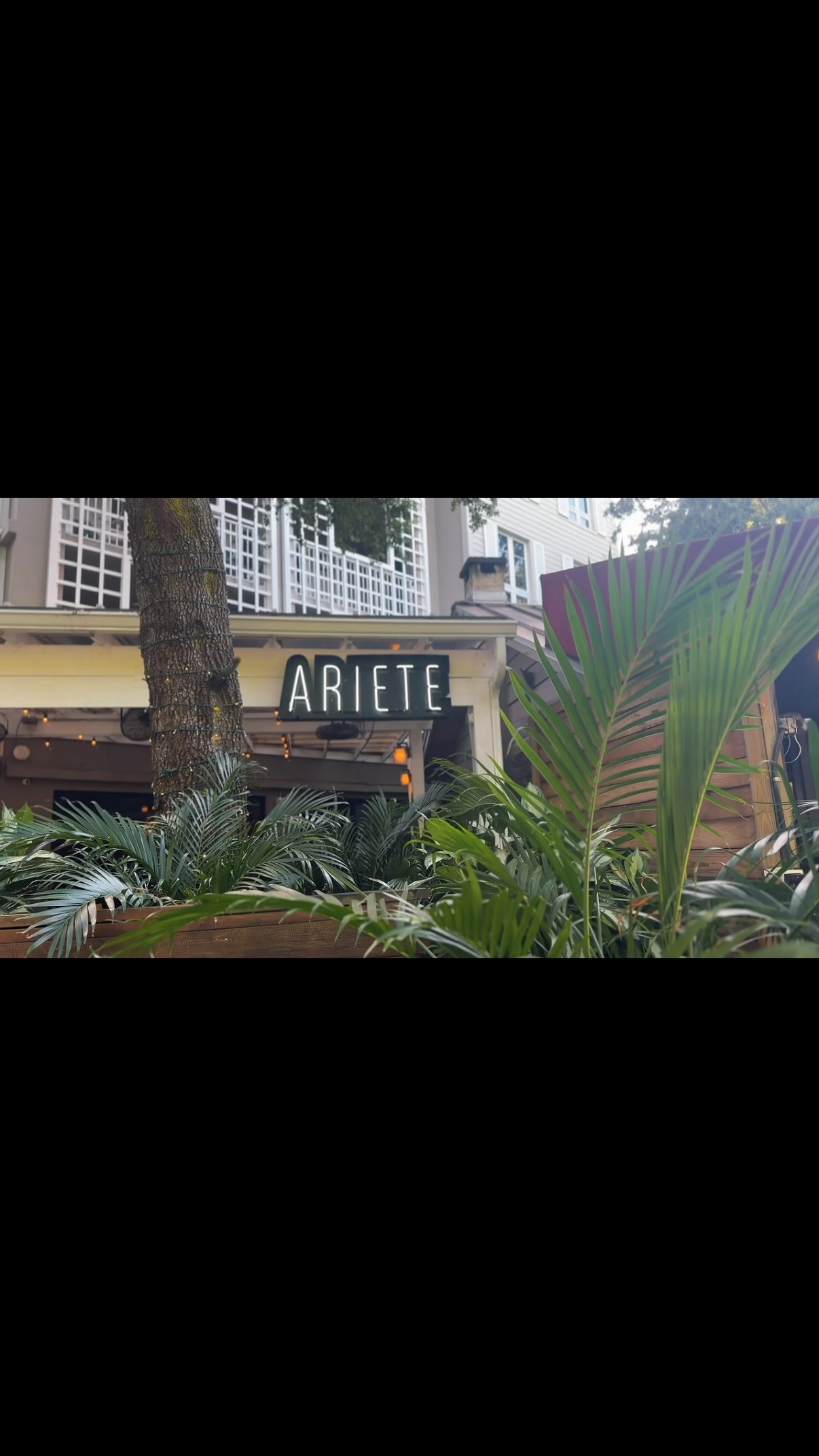 Video 2 from Ariete
