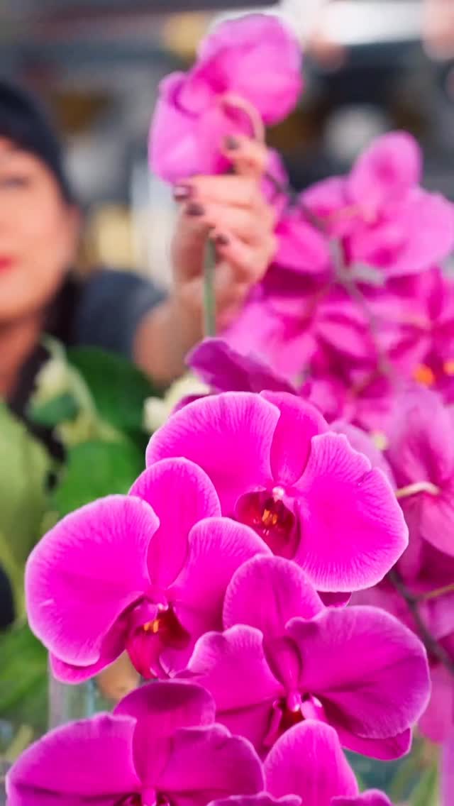 Video 3 from Arkadia at Fontaine Bleau