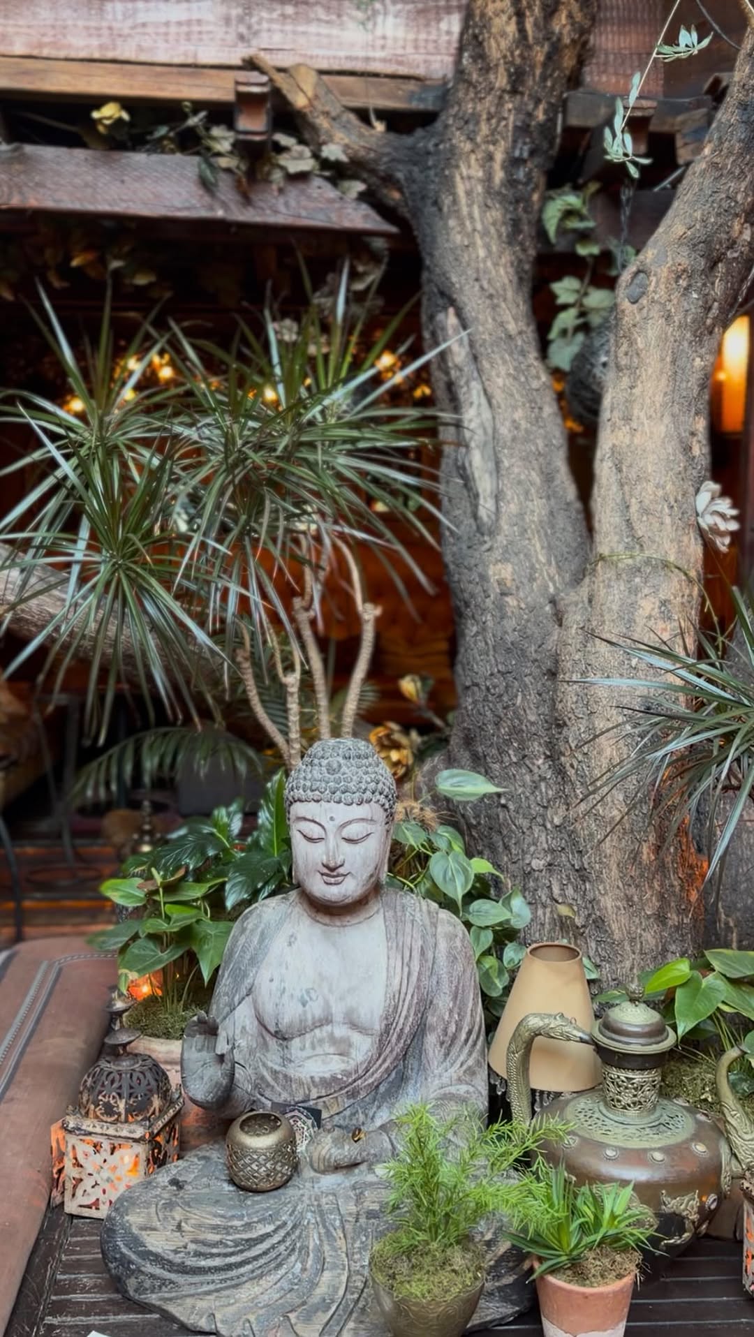 Video 1 from Asoka