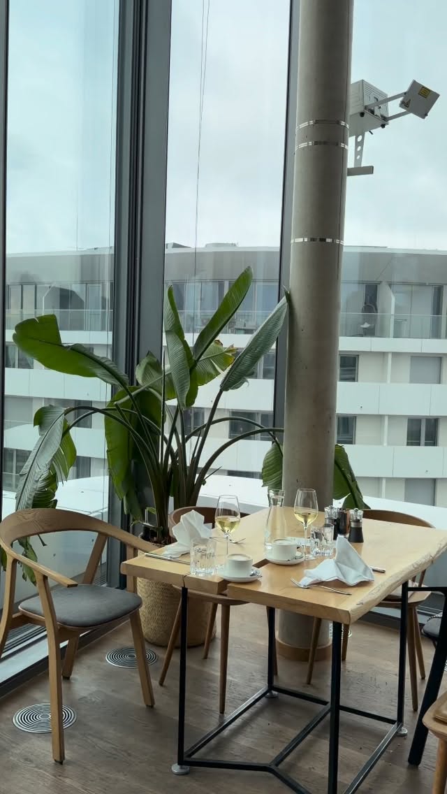 Video 2 from Aurora Rooftop Bar