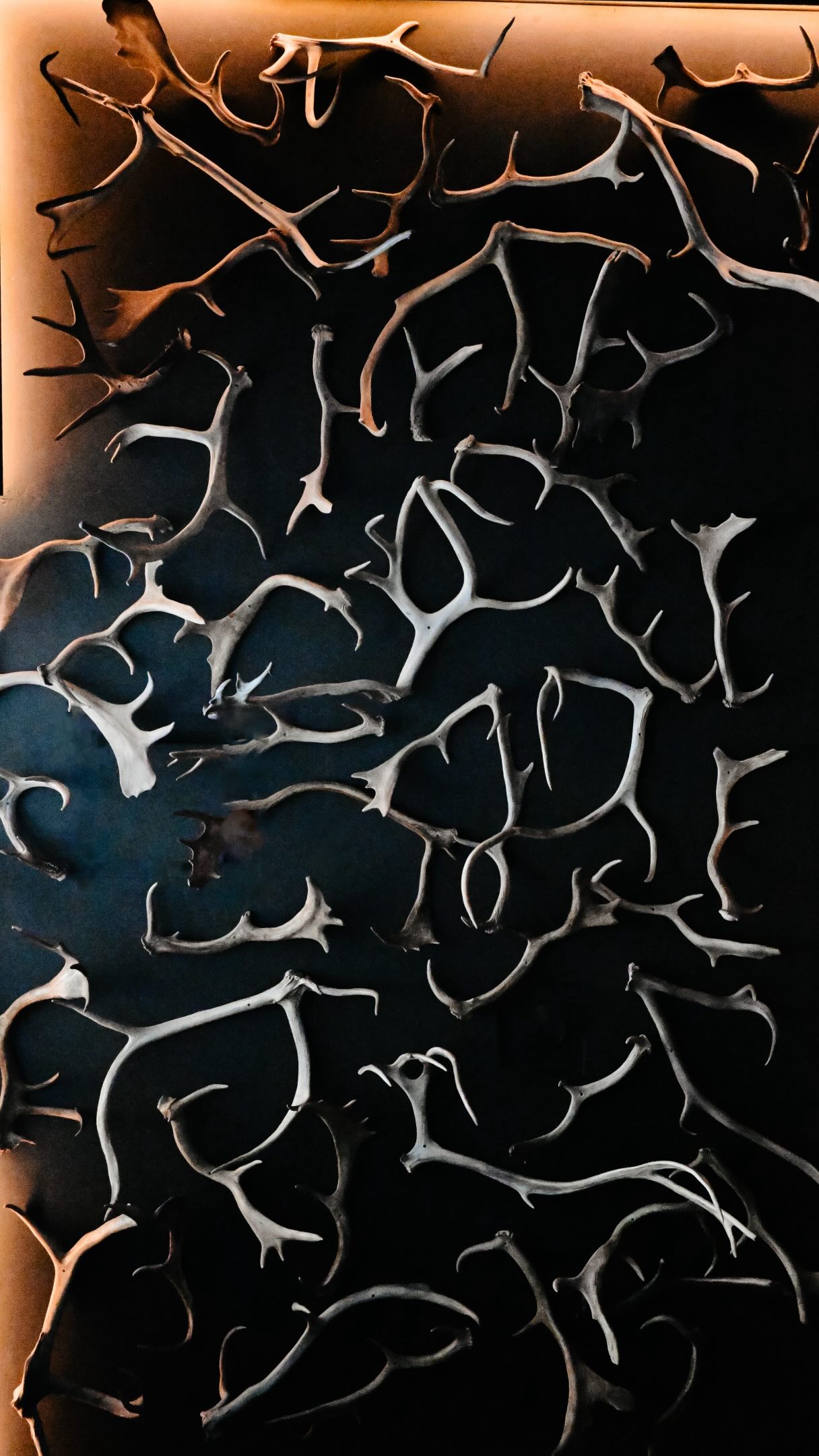 Video 1 from Avize