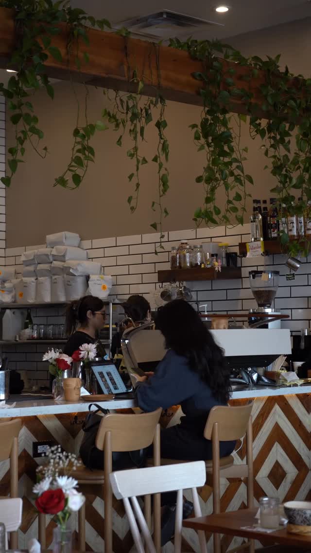 Video 8 from Ayahuasca Cantina