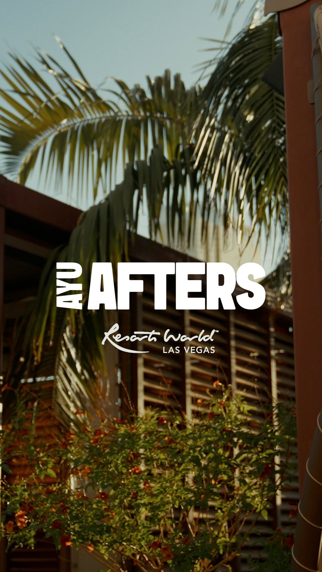Video 1 from AYU Dayclub