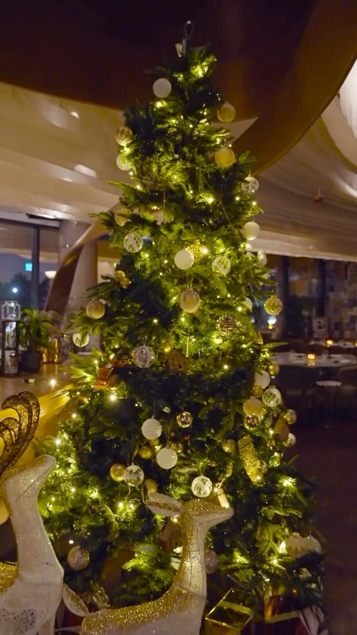 Video 8 from B-Lounge Doha