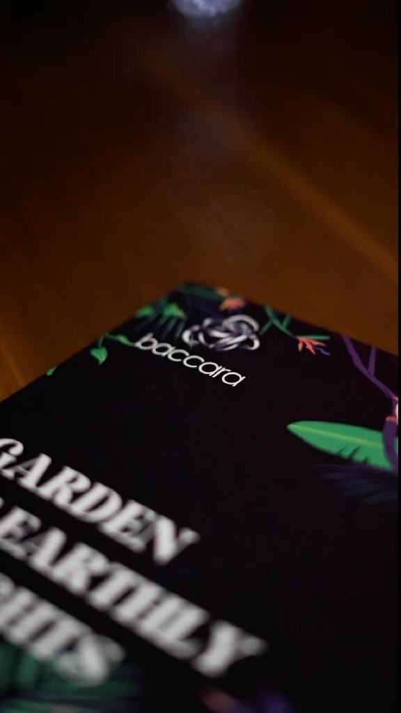 Video 1 from Baccara Yacht Club