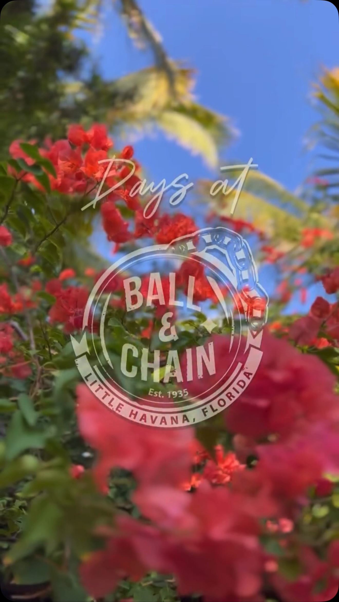 Video 2 from Ball & Chain