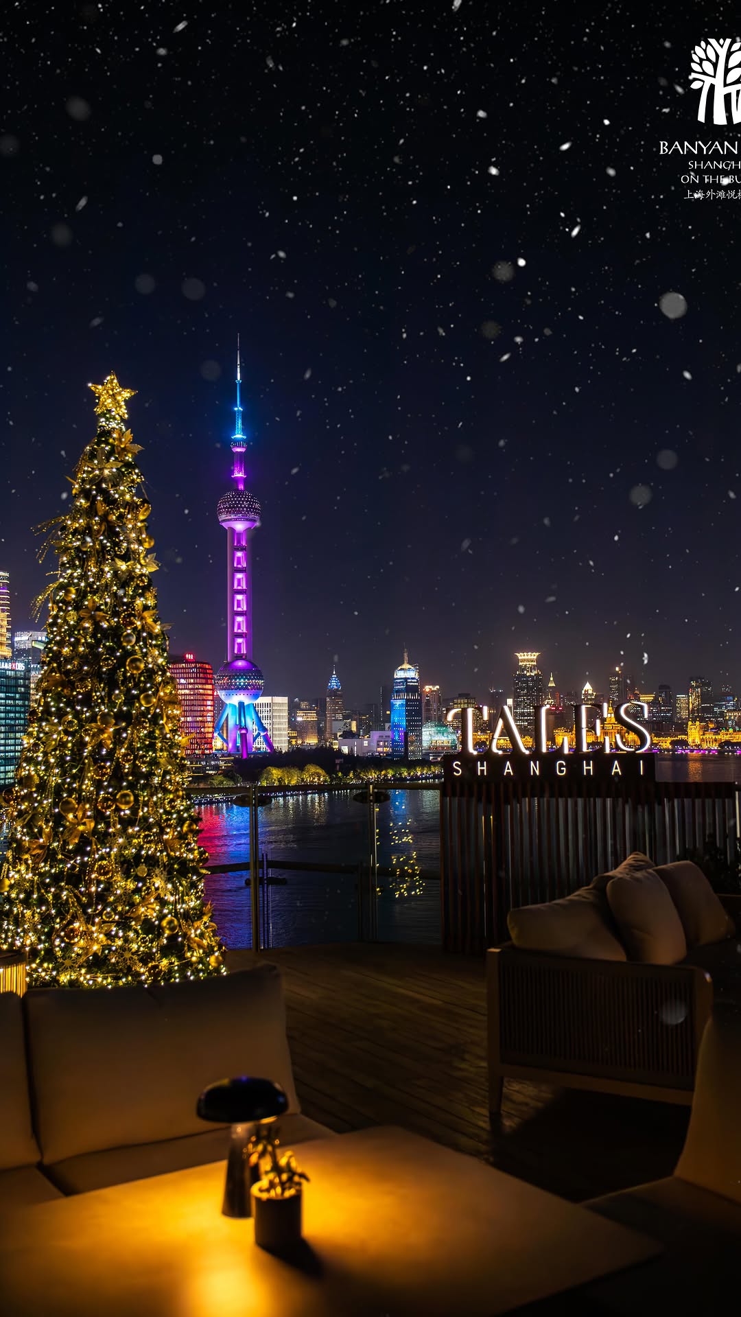 Video 3 from Banyan Tree 