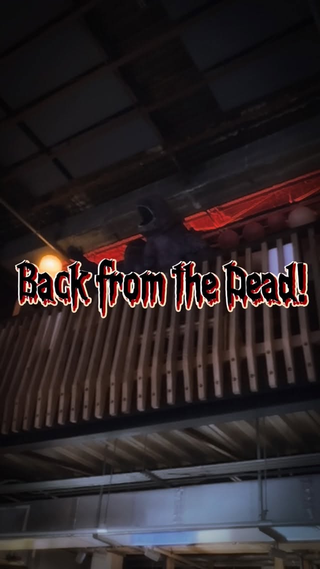Video 8 from Bar Kaiju