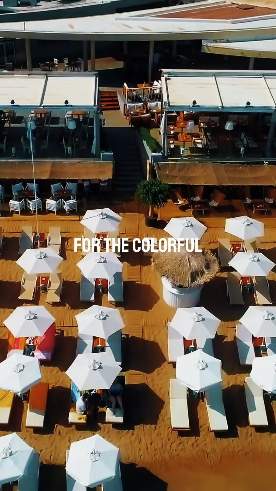 Video 6 from Beachcomber