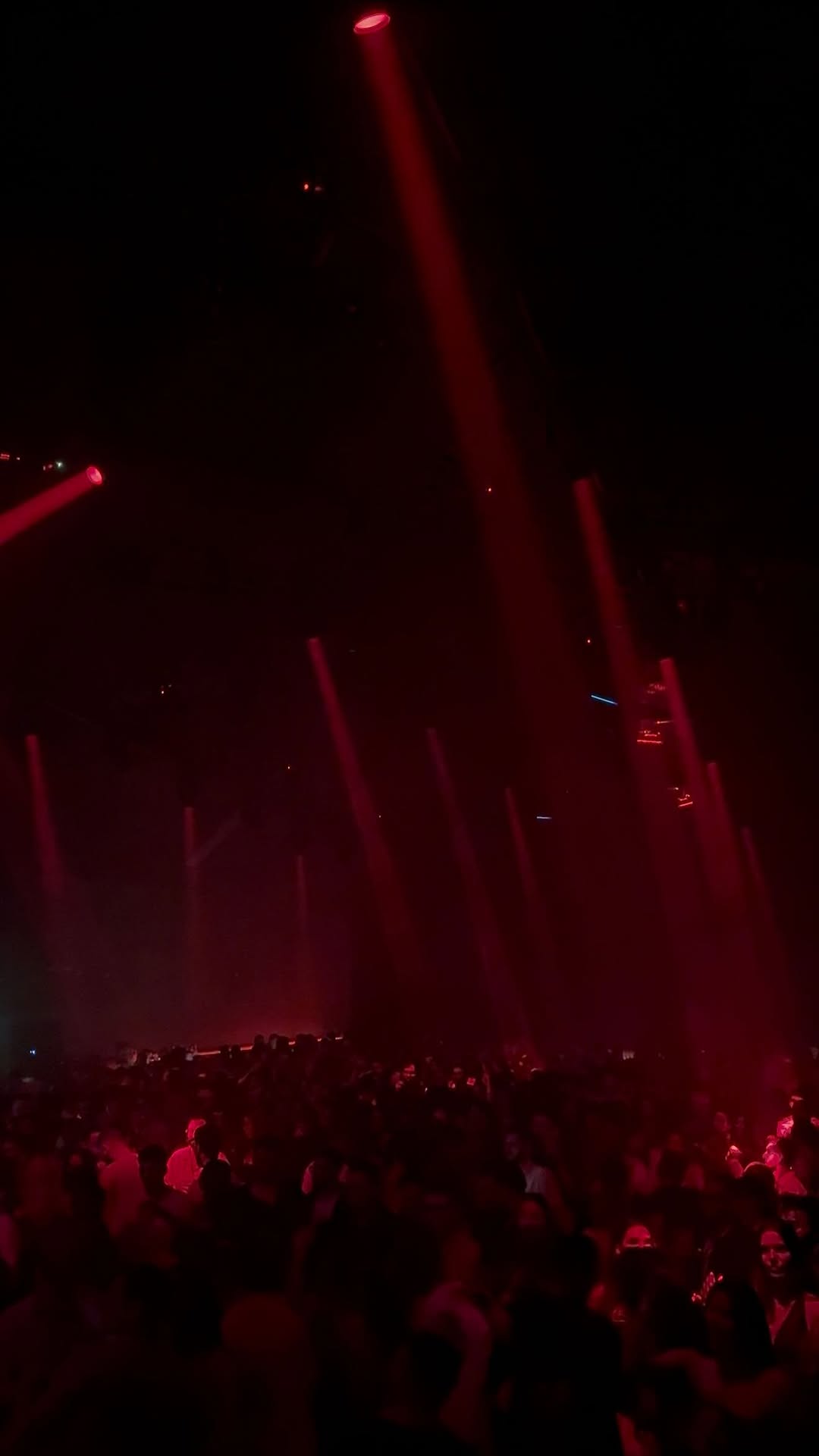 Video 4 from Black at Soho Garden