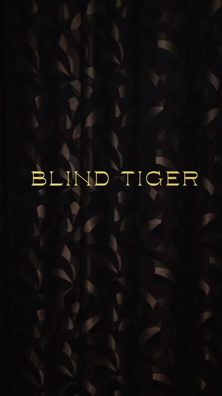 Video 4 from Blind Tiger  