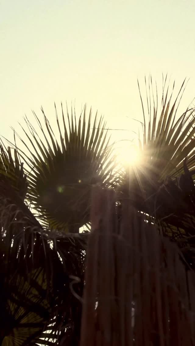 Video 8 from Boheme Beach Club