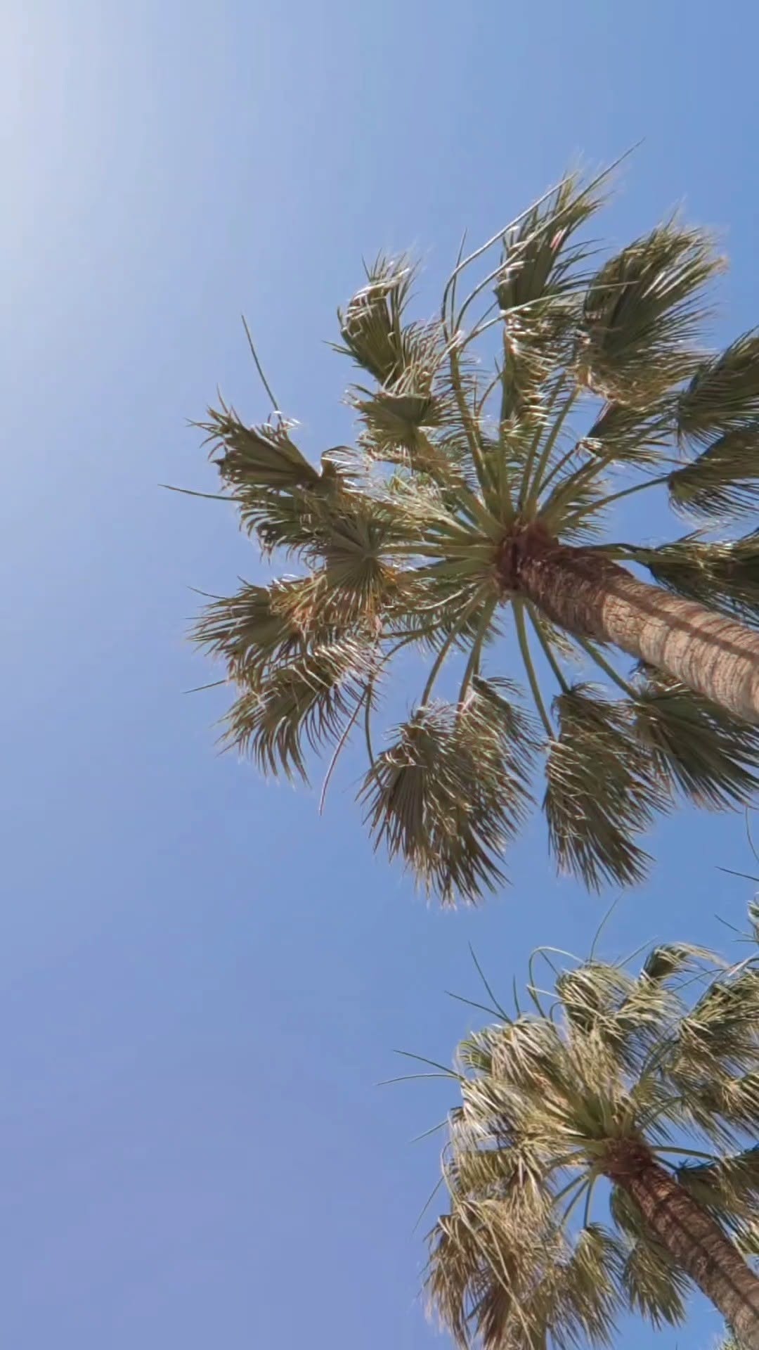 Video 5 from Cabana Mare Beach