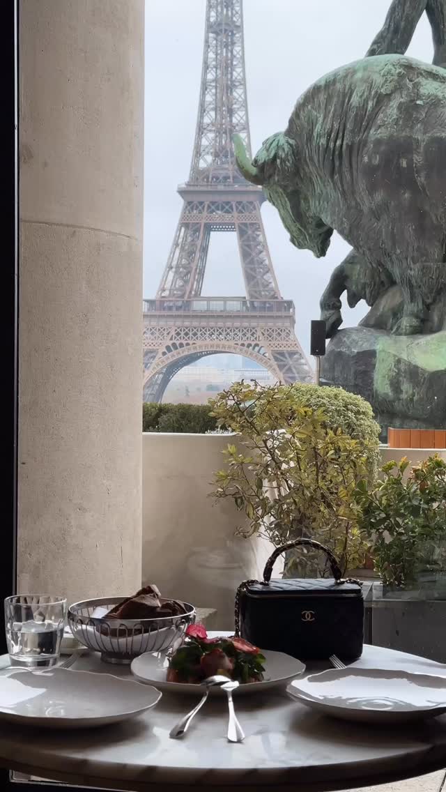 Video 8 from Café de l’Homme