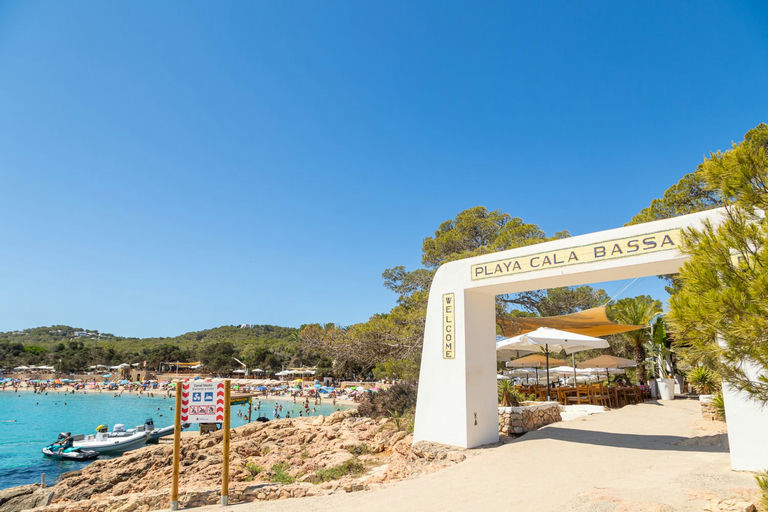 Cala Bassa Beach Club , a beach club in Ibiza, Spain