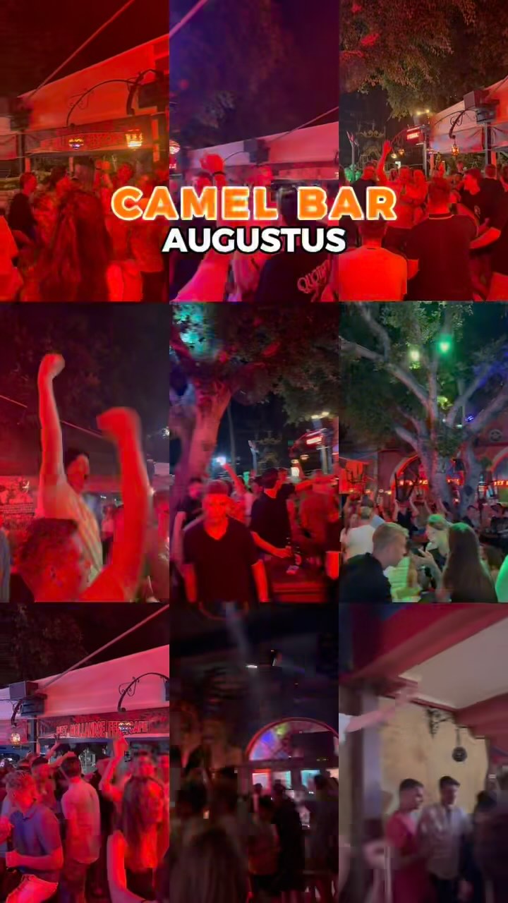Video 8 from Camel Bar