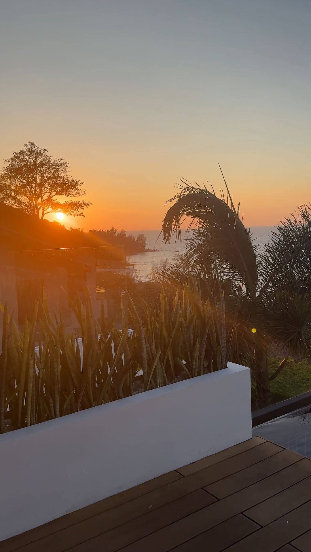 Video 7 from Casa Boho