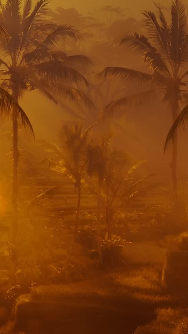 Video 3 from Casa Jaguar