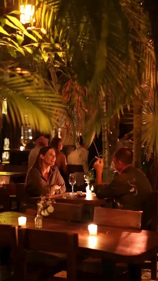Video 4 from Casa Jaguar