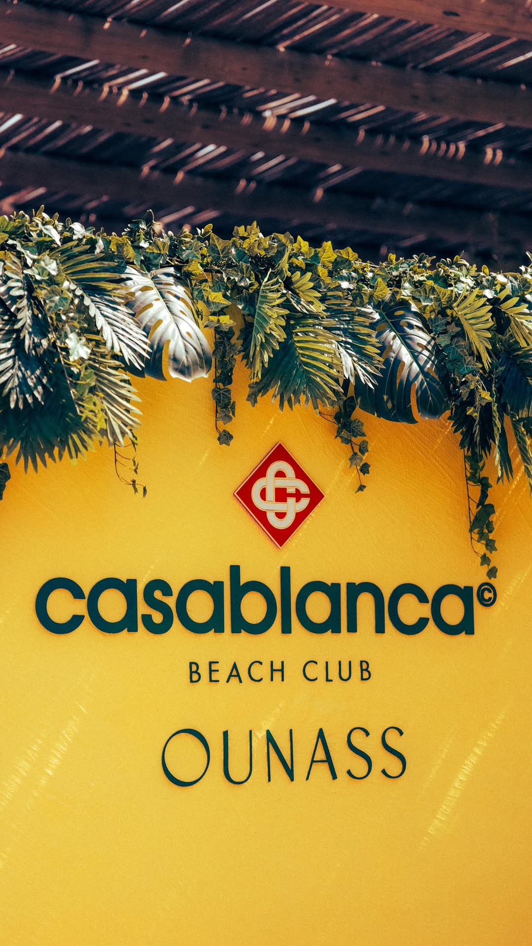 Video 6 from Casablanca at Atlantis