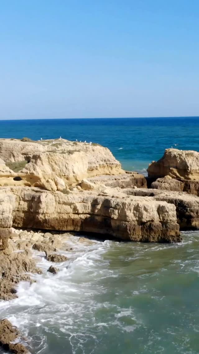 Video 1 from Castelo Beach Club