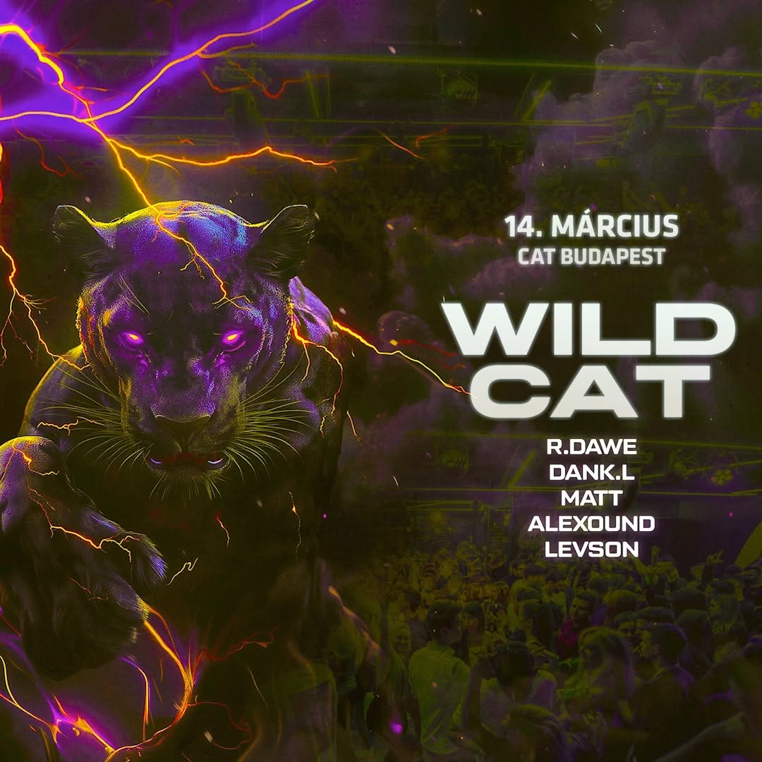 Video 8 from CAT Budapest