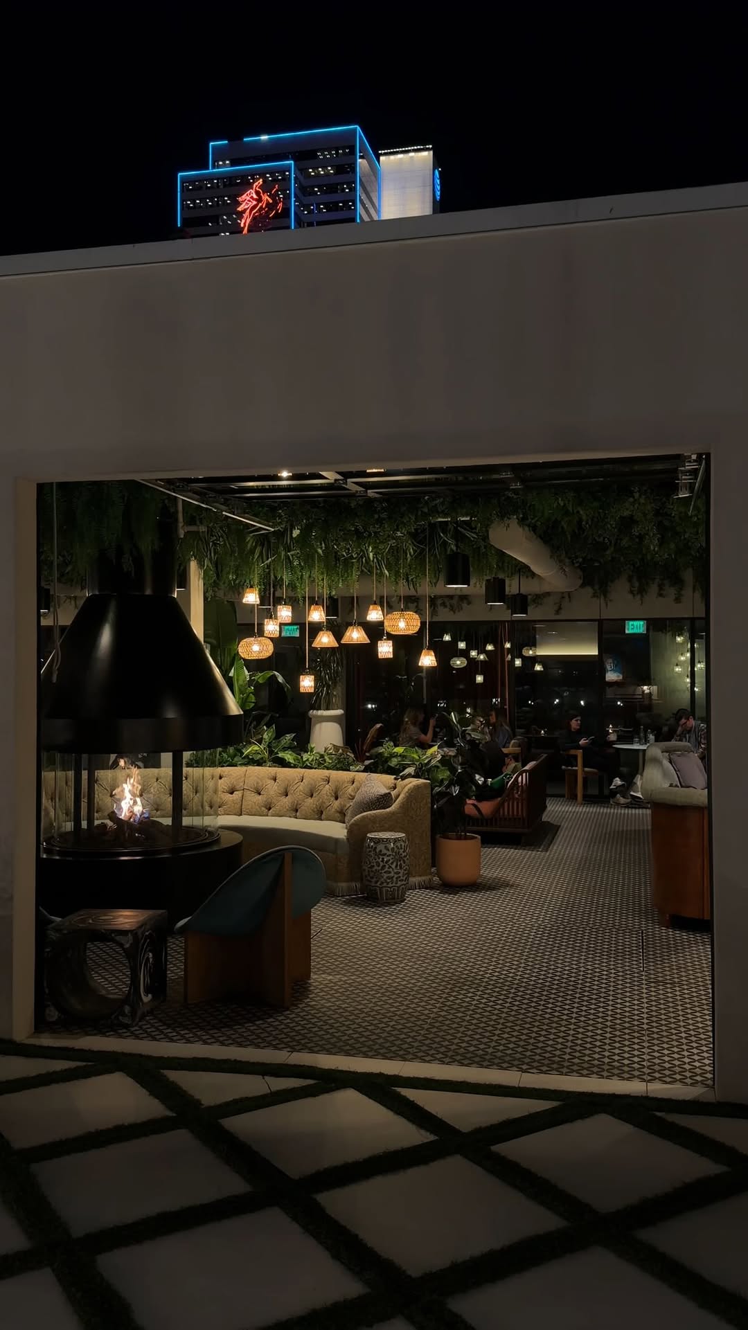 Video 6 from Catbird