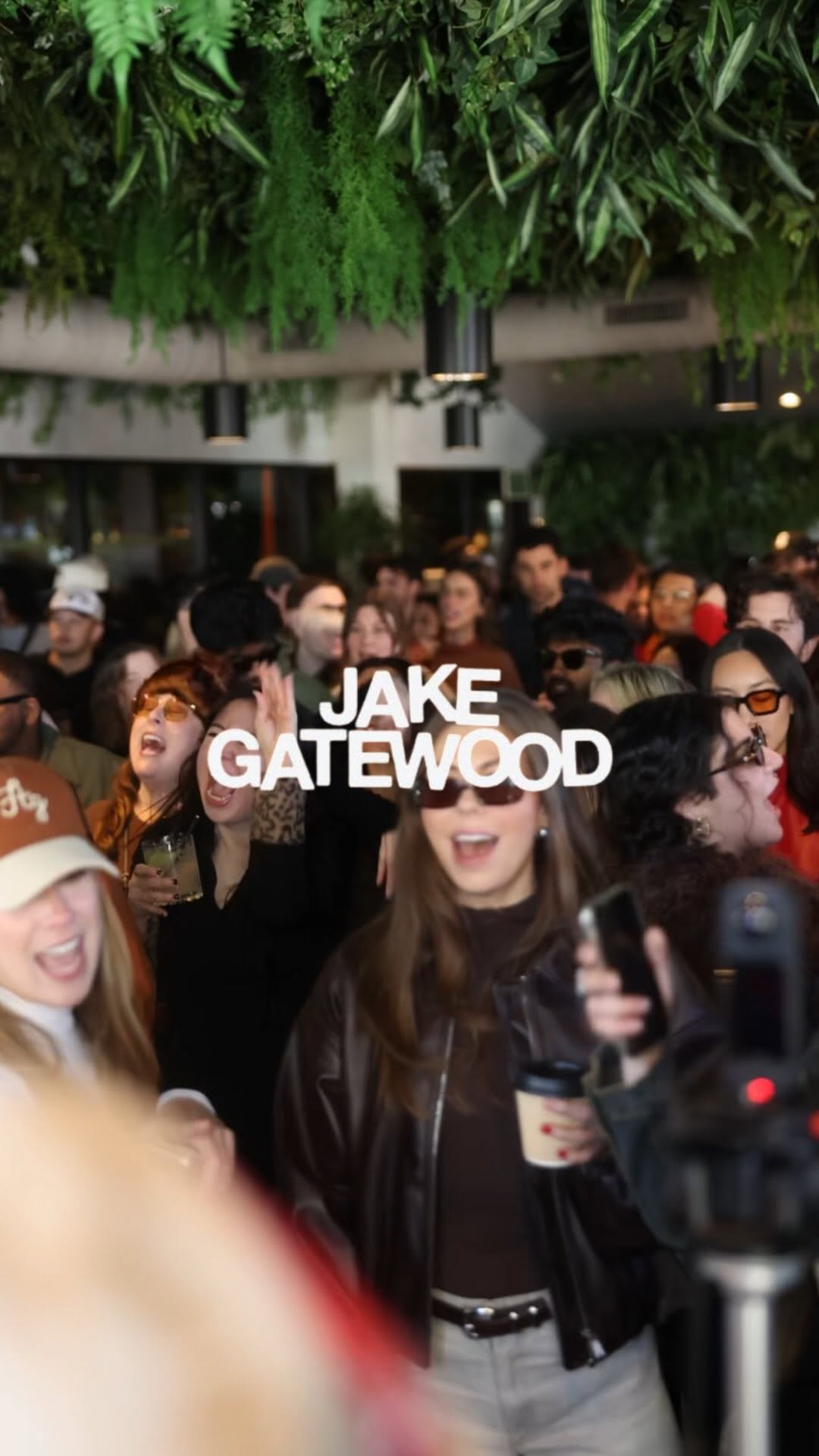 Video 7 from Catbird