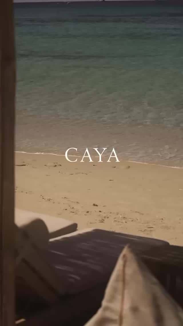 Video 4 from Caya
