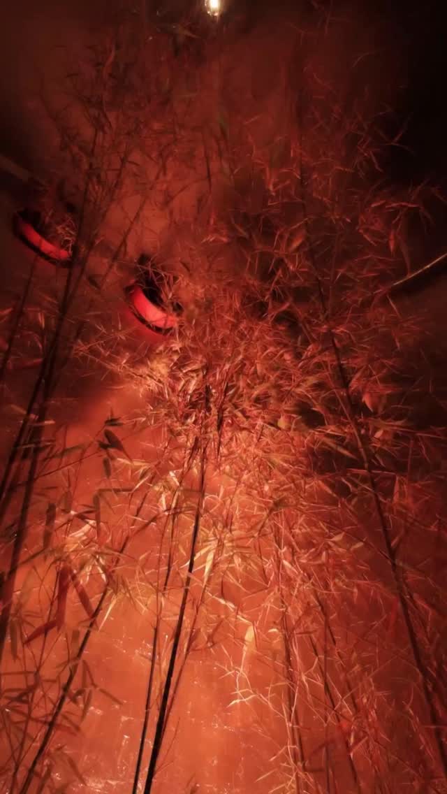 Video 1 from Cee Beirut