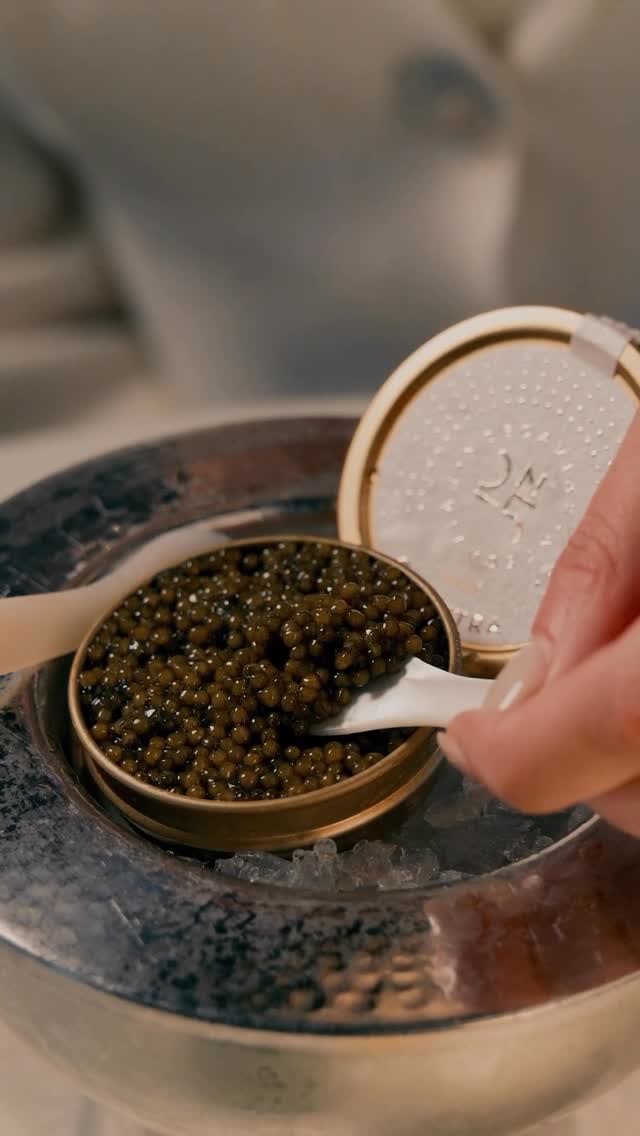 Video 2 from Champagne Bar at Four Seasons