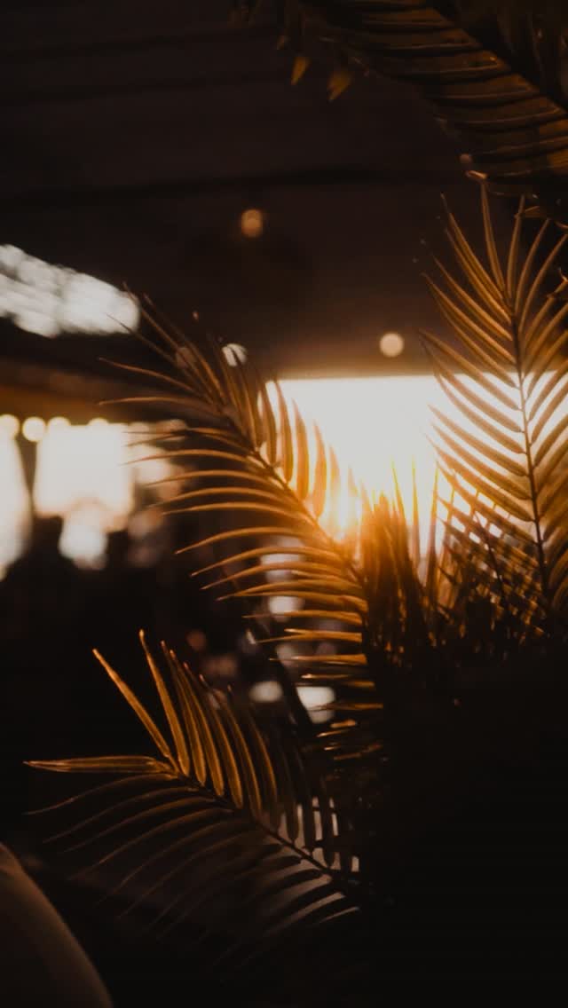 Video 3 from Chinchilla