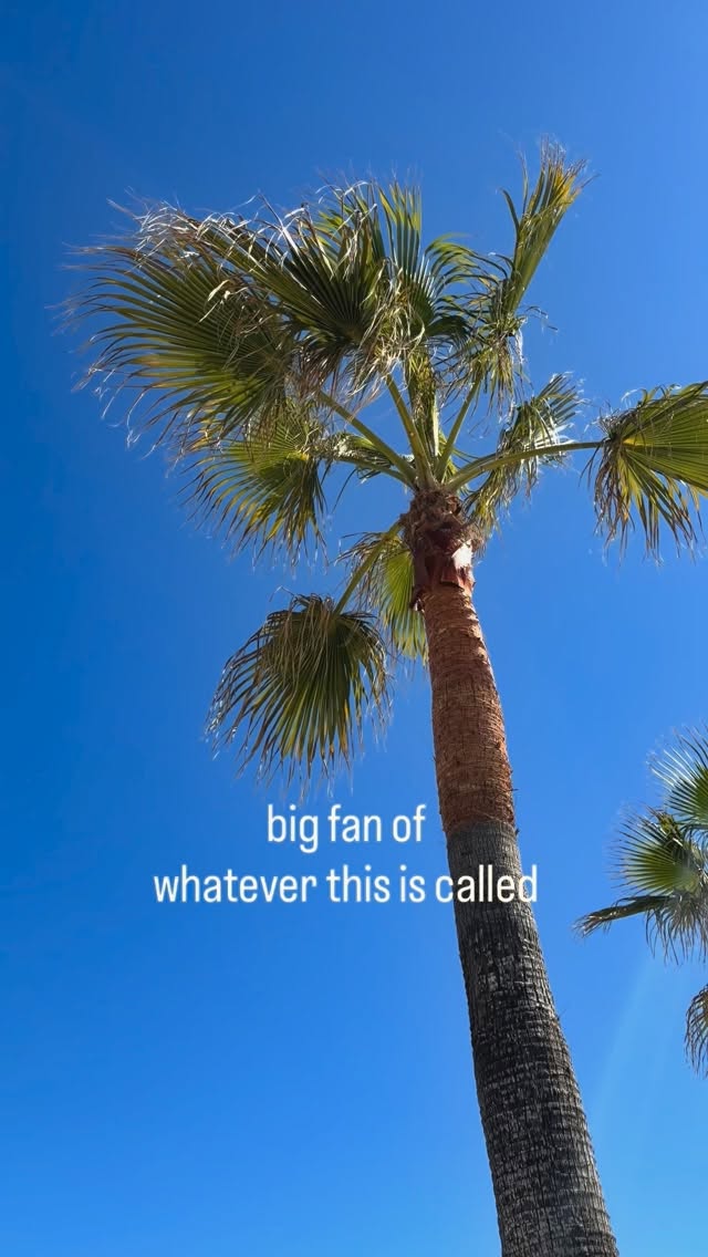 Video 3 from Coco Beach