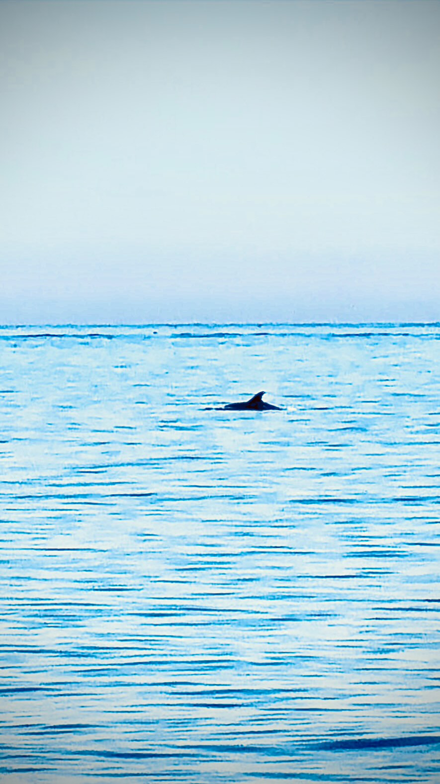 Video 2 from Cocoa Beach