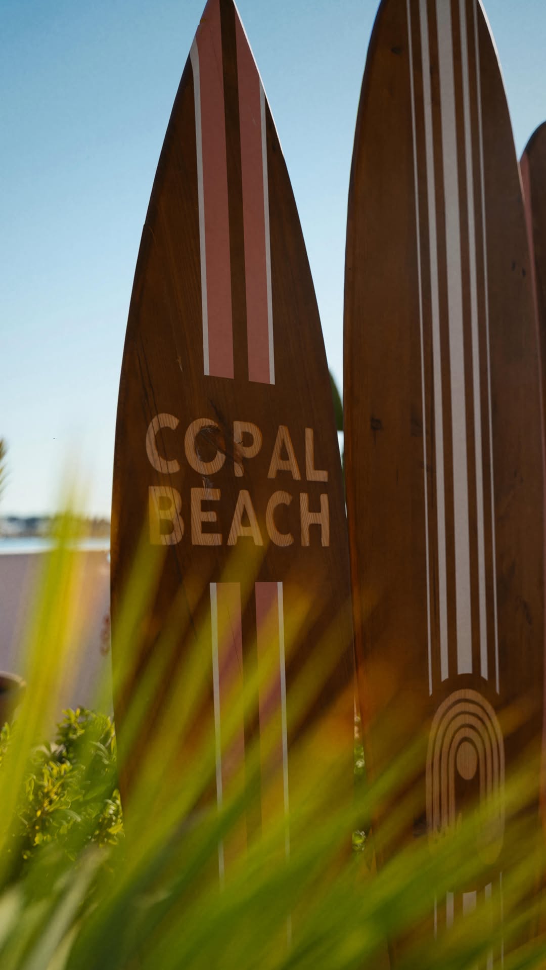 Video 8 from Copal Beach